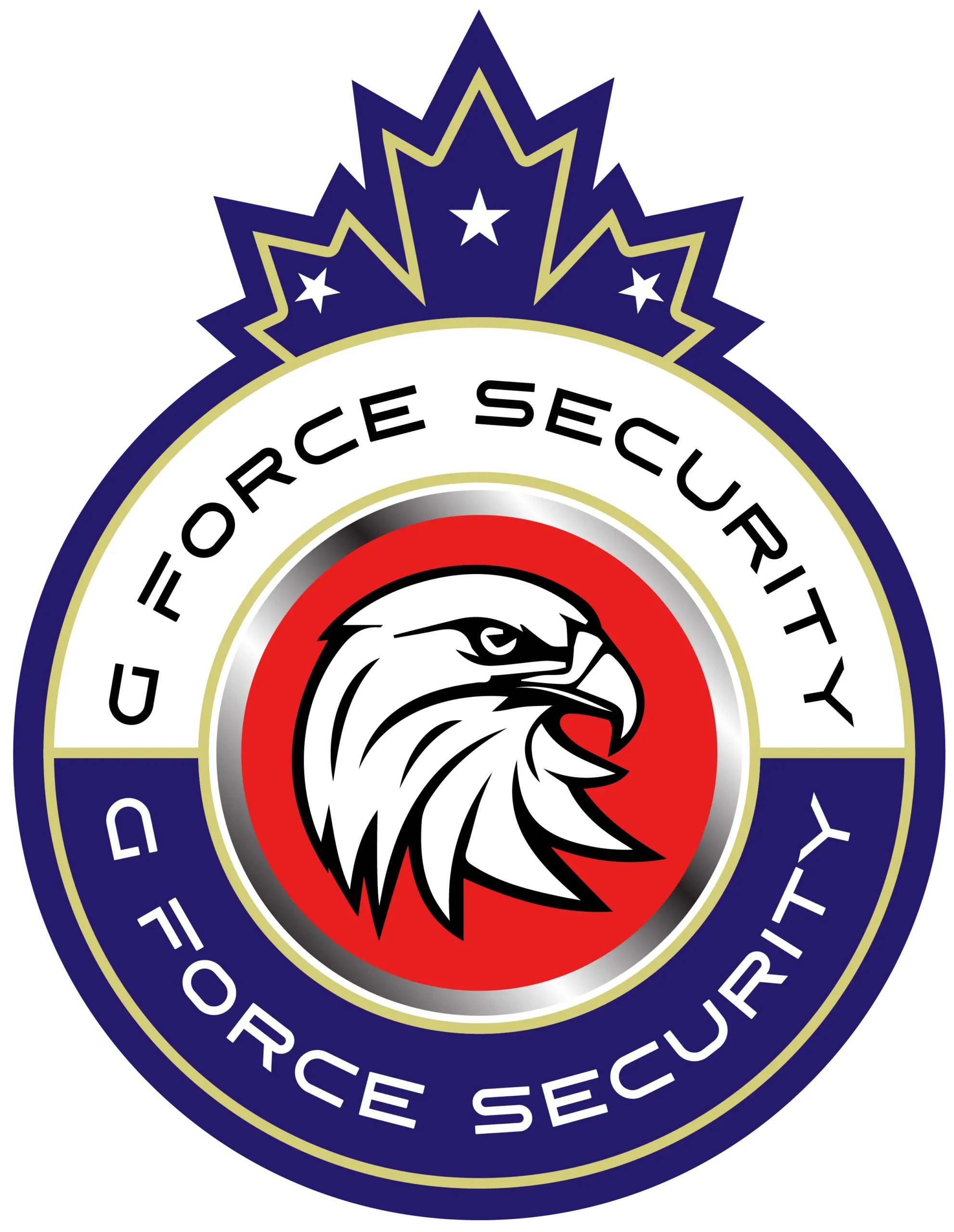 G Force Security Profile