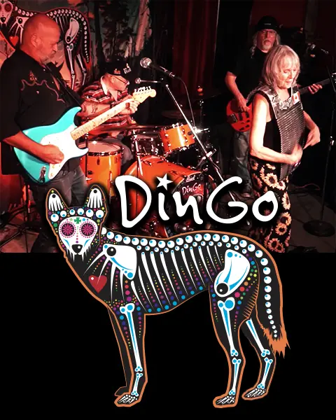 Dingo